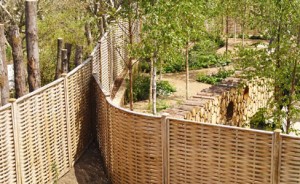 oak curved fencing